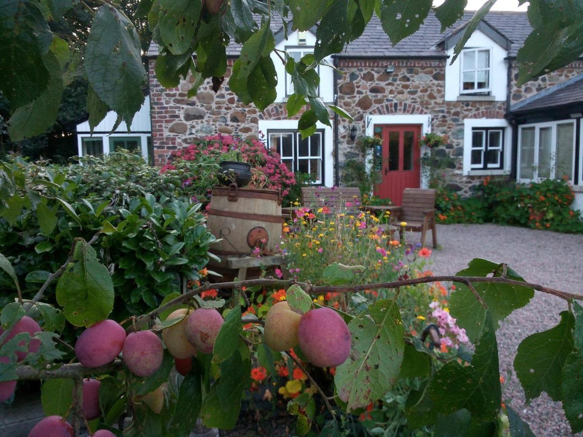 Berwick Hall Cottage Moira  Buitenkant foto