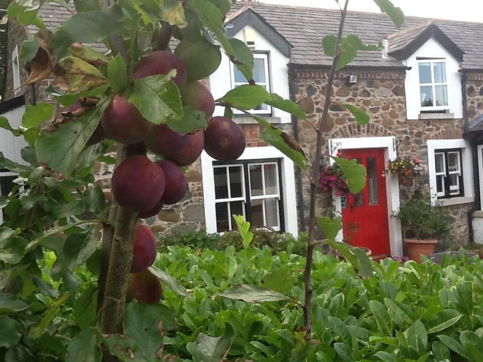 Berwick Hall Cottage Moira  Kamer foto